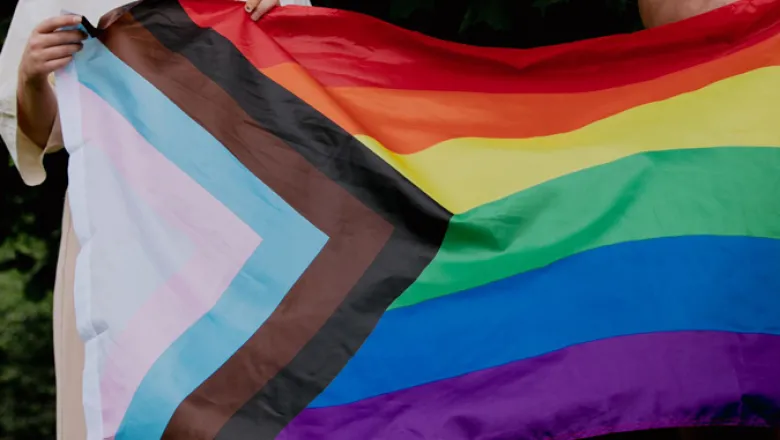 Image of the LGBTQIA+ Progress Pride Flag